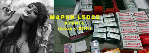 ГАЛЛЮЦИНОГЕННЫЕ ГРИБЫ Аркадак
