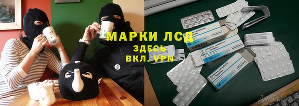 ГАЛЛЮЦИНОГЕННЫЕ ГРИБЫ Аркадак