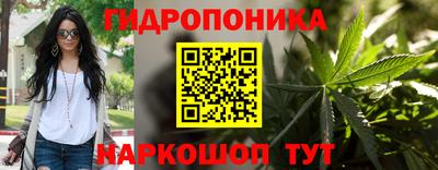 амф Пенза