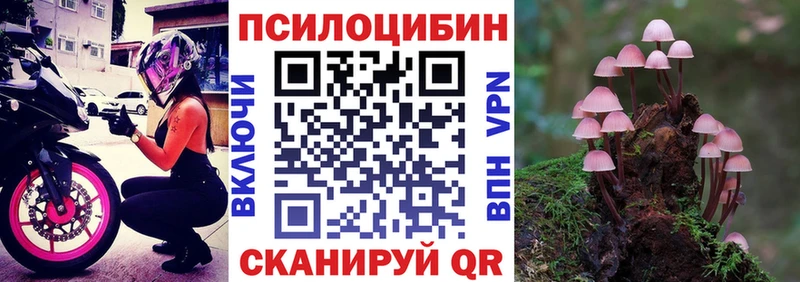 Галлюциногенные грибы прущие грибы  omg рабочий сайт  Шатура 