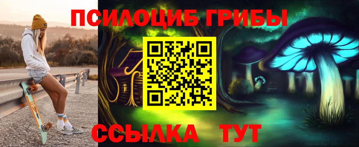 NBOMe  Вход с VPN  Шатура  Мефедрон   Кокаин  A PVP СК   Экстази  Меф  Каннабис  ГАШИШ 