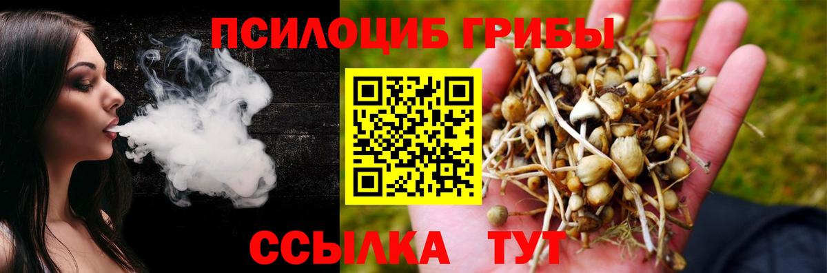 Шатура  Псилоцибиновые грибы Psilocybine cubensis  Галлюциногенные грибы Magic Shrooms  Вход с VPN 
